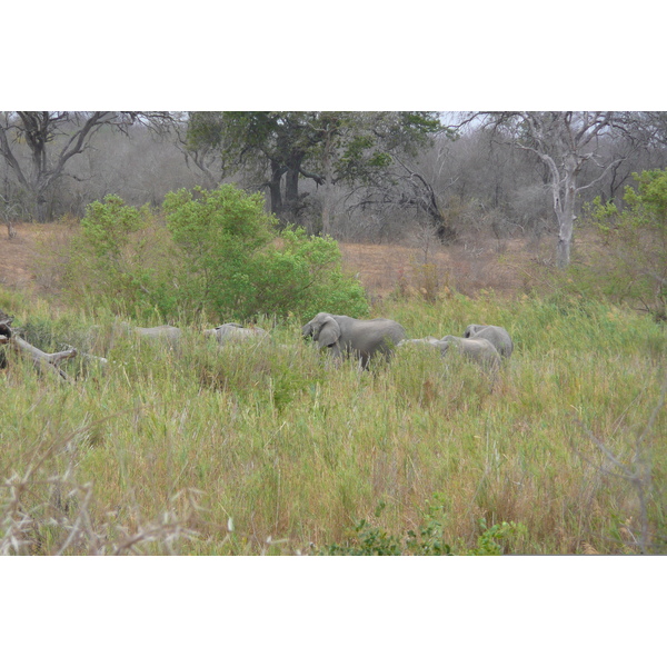 Picture South Africa Kruger National Park Sable River 2008-09 90 - Center Sable River