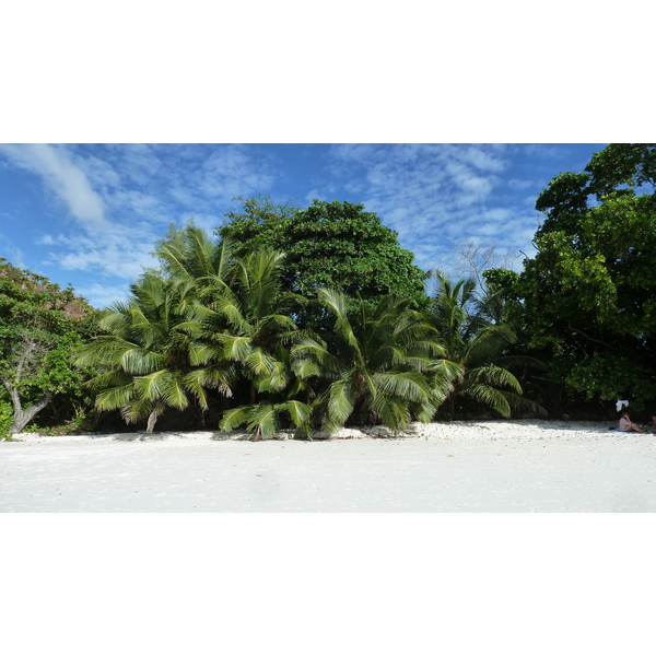 Picture Seychelles Anse Lazio 2011-10 172 - Tours Anse Lazio