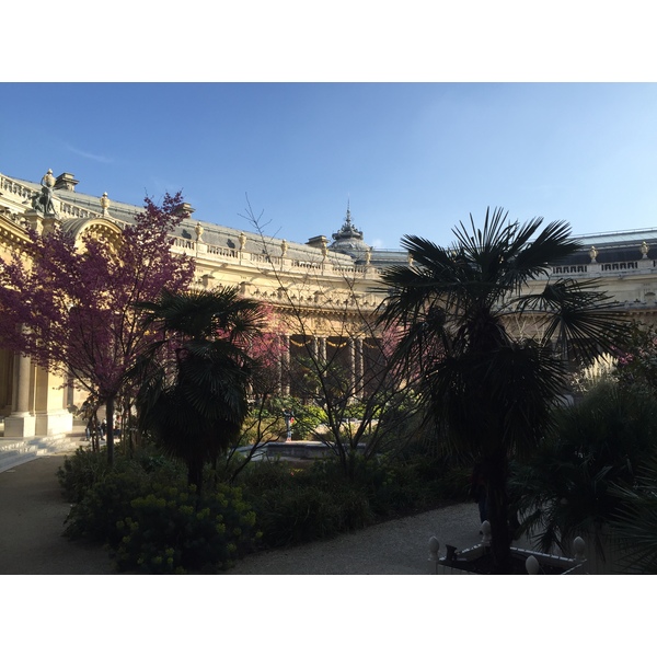 Picture France Paris Petit Palais 2016-03 14 - Tour Petit Palais