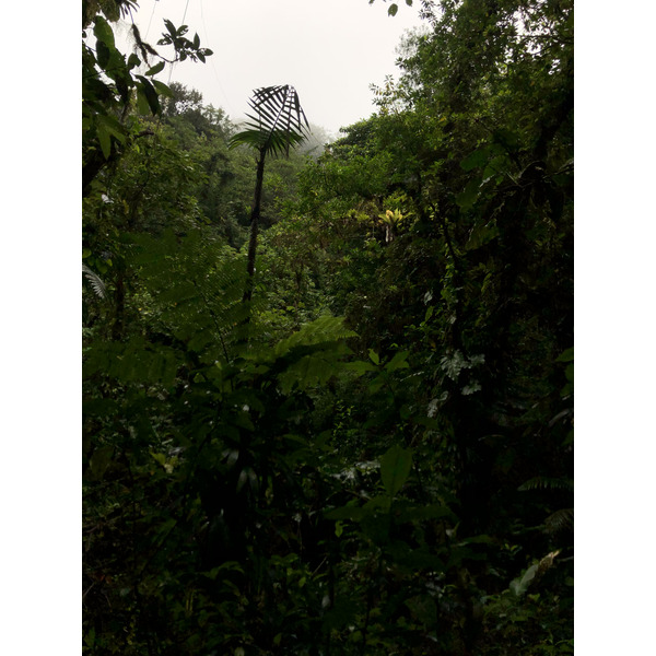 Picture Guadeloupe Carbet Falls 2021-02 24 - Center Carbet Falls