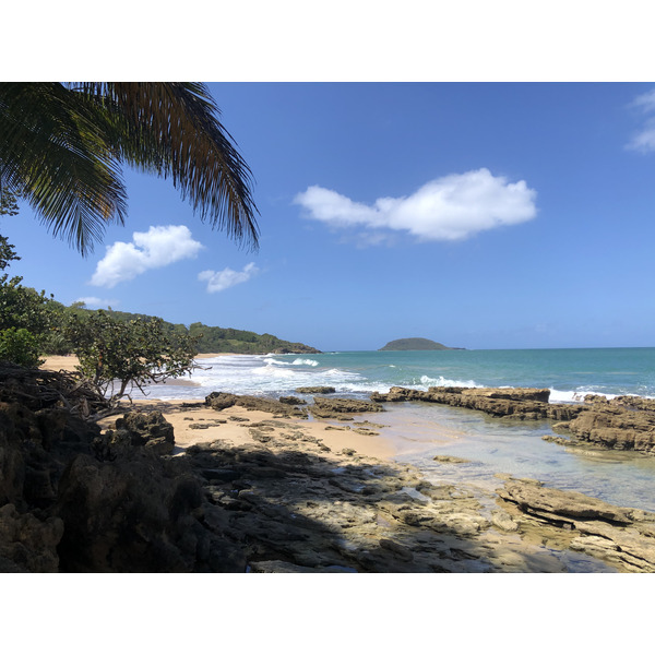 Picture Guadeloupe Clugny Beach 2021-02 3 - Discovery Clugny Beach