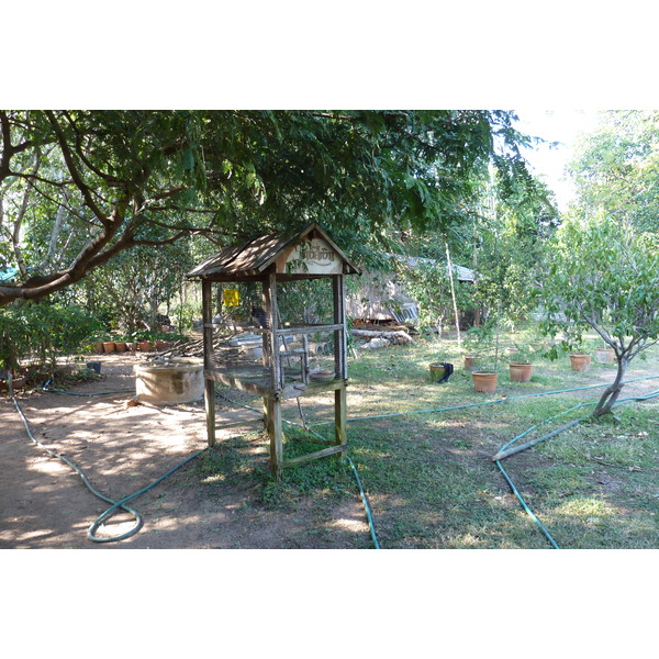 Picture Thailand Chiang Mai Mae Sa Snake Farm 2010-12 9 - History Mae Sa Snake Farm