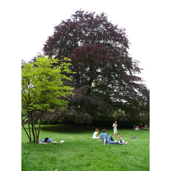 Picture France Paris Monceau Garden 2007-06 3 - Tours Monceau Garden