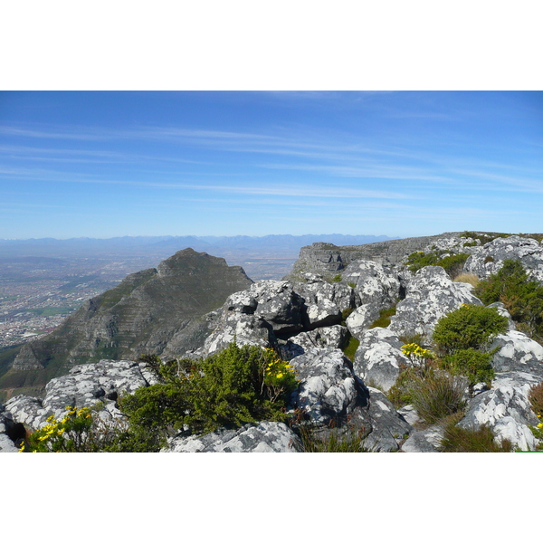 Picture South Africa Cape Town Table Mountain 2008-09 61 - Discovery Table Mountain