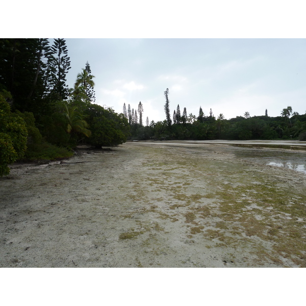 Picture New Caledonia Ile des pins Oro Bay 2010-05 86 - Center Oro Bay