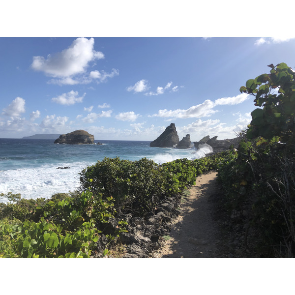 Picture Guadeloupe Castle Point 2021-02 272 - Journey Castle Point