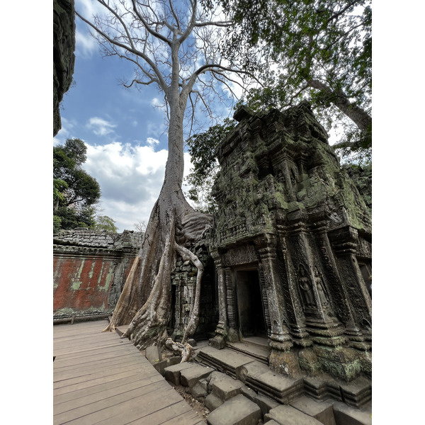 Picture Cambodia Siem Reap Ta Prohm 2023-01 128 - Center Ta Prohm