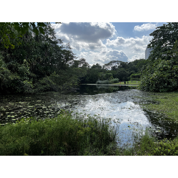 Picture Singapore Singapore Botanic Gardens 2023-01 4 - Tours Singapore Botanic Gardens