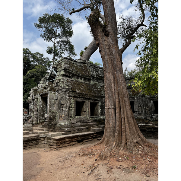 Picture Cambodia Siem Reap Ta Prohm 2023-01 134 - Center Ta Prohm