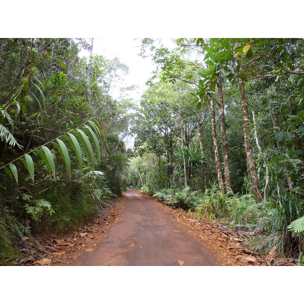 Picture New Caledonia Parc de la Riviere Bleue 2010-05 98 - Tours Parc de la Riviere Bleue