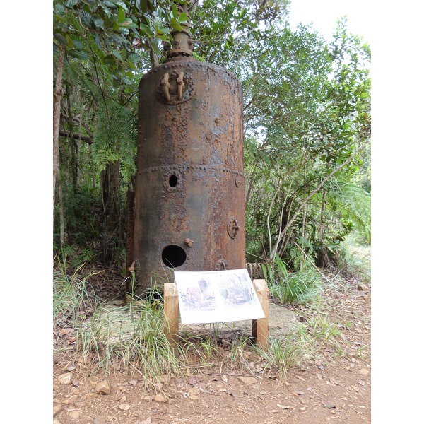 Picture New Caledonia Parc de la Riviere Bleue 2010-05 67 - Tour Parc de la Riviere Bleue