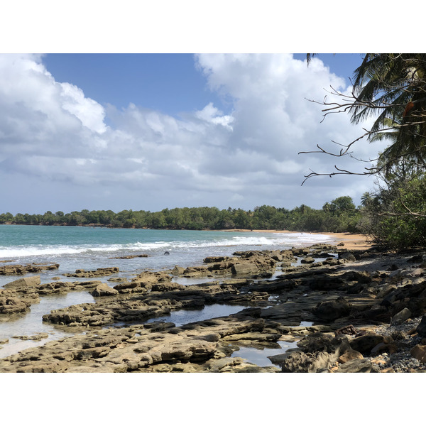 Picture Guadeloupe Clugny Beach 2021-02 14 - Center Clugny Beach