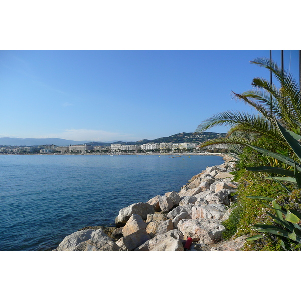 Picture France Cannes Port Pierre Canto 2008-05 74 - Journey Port Pierre Canto