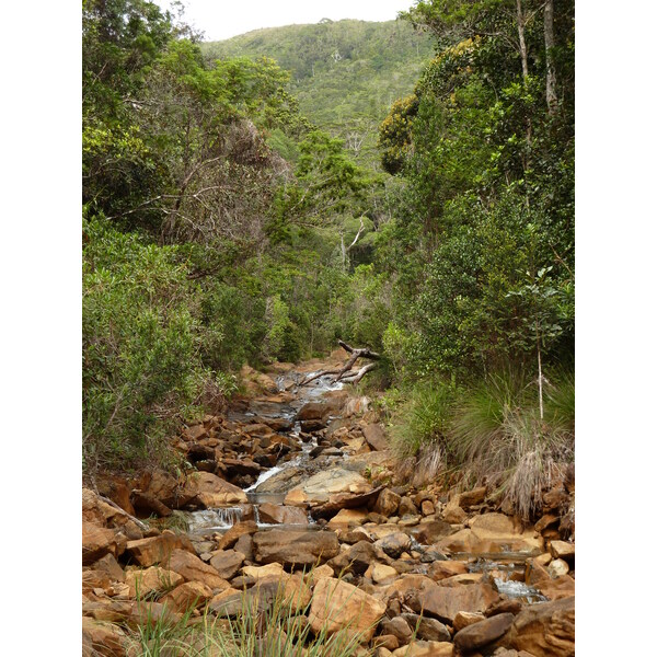 Picture New Caledonia Parc de la Riviere Bleue 2010-05 112 - Tour Parc de la Riviere Bleue