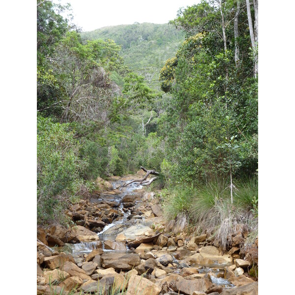 Picture New Caledonia Parc de la Riviere Bleue 2010-05 124 - History Parc de la Riviere Bleue