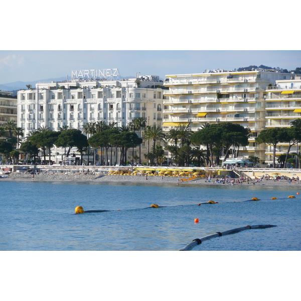 Picture France Cannes Port Pierre Canto 2008-05 69 - Discovery Port Pierre Canto