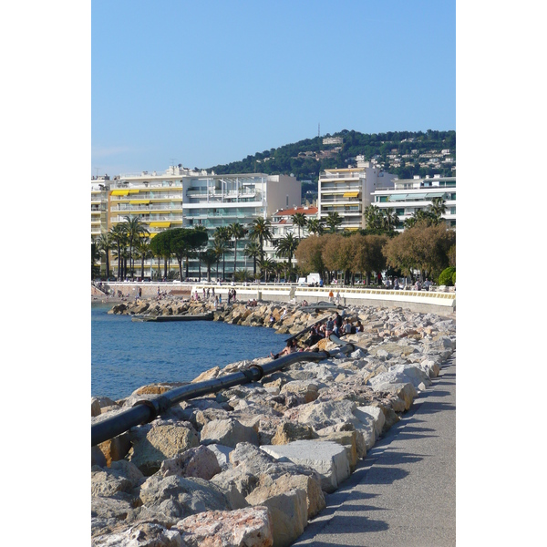 Picture France Cannes Port Pierre Canto 2008-05 68 - Discovery Port Pierre Canto