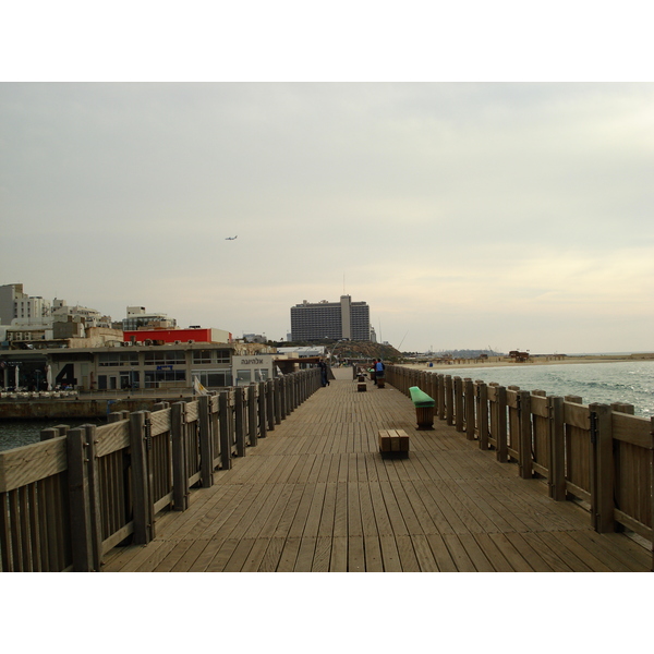 Picture Israel Tel Aviv Tel Aviv Sea Shore 2006-12 217 - Tours Tel Aviv Sea Shore