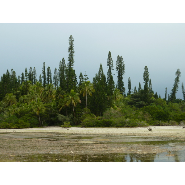 Picture New Caledonia Ile des pins Oro Bay 2010-05 3 - Tour Oro Bay