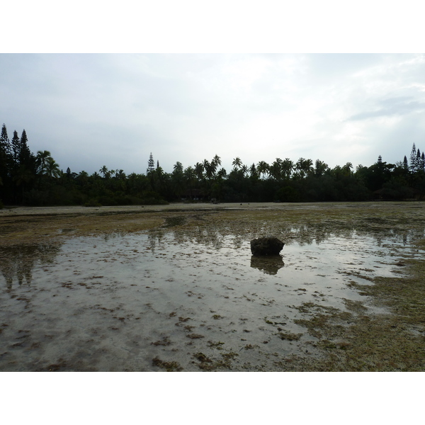 Picture New Caledonia Ile des pins Oro Bay 2010-05 12 - Tours Oro Bay