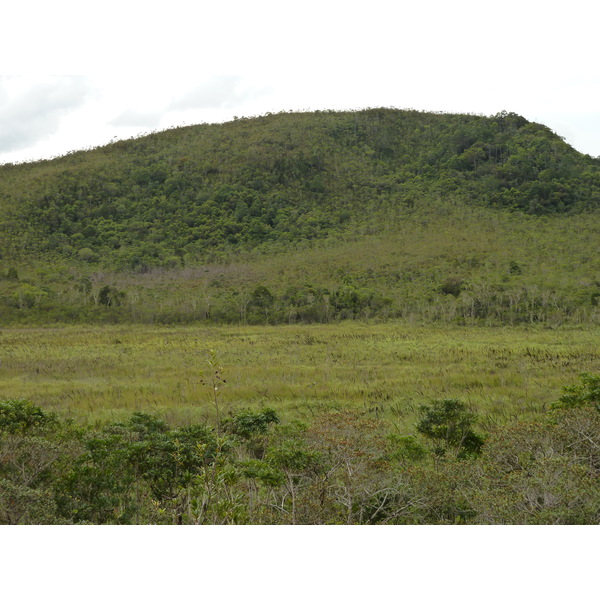 Picture New Caledonia Parc de la Riviere Bleue 2010-05 51 - History Parc de la Riviere Bleue