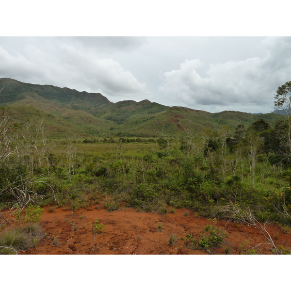 Picture New Caledonia Parc de la Riviere Bleue 2010-05 40 - Center Parc de la Riviere Bleue