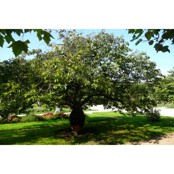 Picture France Paris Jardin des Plantes 2007-08 2 - Tour Jardin des Plantes