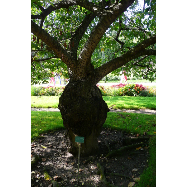 Picture France Paris Jardin des Plantes 2007-08 202 - History Jardin des Plantes