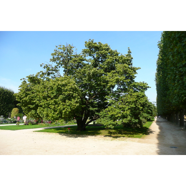 Picture France Paris Jardin des Plantes 2007-08 217 - Tour Jardin des Plantes