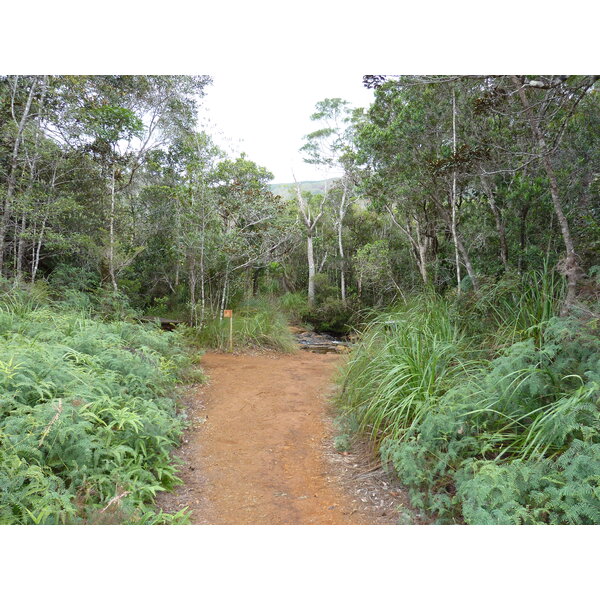 Picture New Caledonia Parc de la Riviere Bleue 2010-05 38 - History Parc de la Riviere Bleue