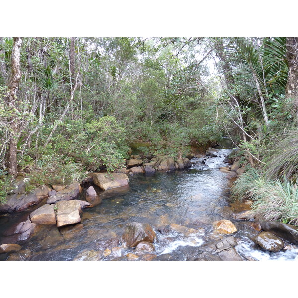 Picture New Caledonia Parc de la Riviere Bleue 2010-05 65 - Center Parc de la Riviere Bleue