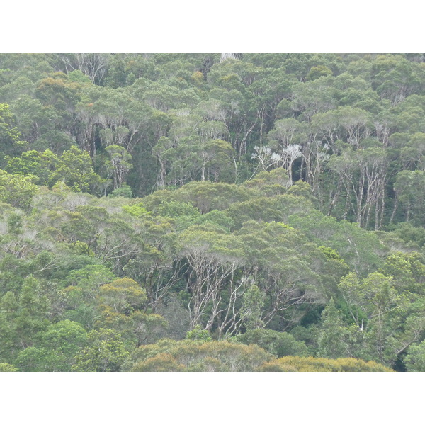 Picture New Caledonia Parc de la Riviere Bleue 2010-05 52 - Tours Parc de la Riviere Bleue