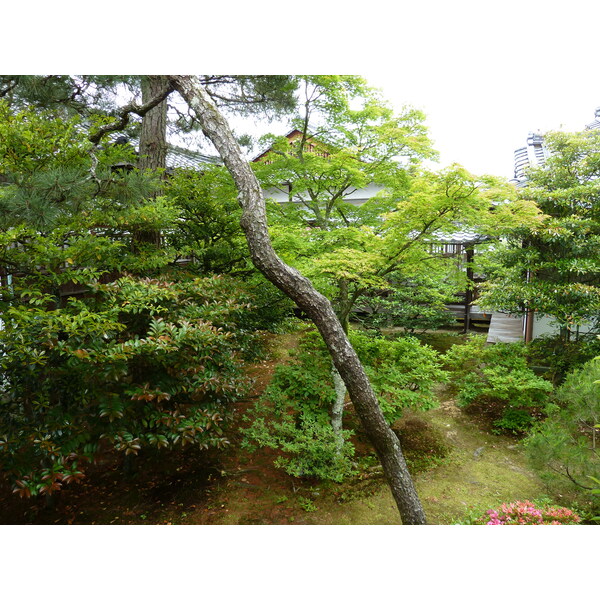 Picture Japan Kyoto Ninna ji imperial Residence 2010-06 96 - Tours Ninna ji imperial Residence