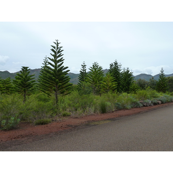 Picture New Caledonia Parc de la Riviere Bleue 2010-05 142 - History Parc de la Riviere Bleue