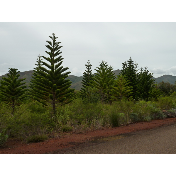 Picture New Caledonia Parc de la Riviere Bleue 2010-05 100 - Tour Parc de la Riviere Bleue