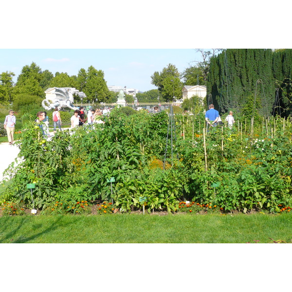 Picture France Paris Jardin des Plantes 2007-08 204 - Tours Jardin des Plantes