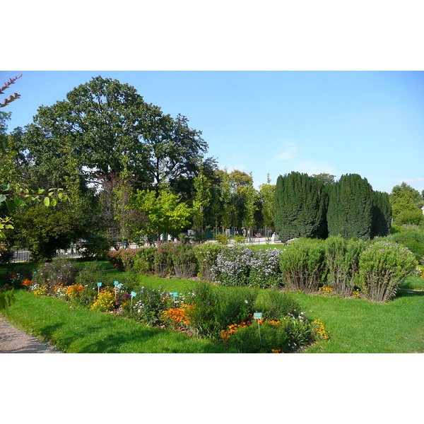 Picture France Paris Jardin des Plantes 2007-08 215 - Discovery Jardin des Plantes