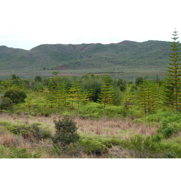 Picture New Caledonia Parc de la Riviere Bleue 2010-05 83 - Tour Parc de la Riviere Bleue