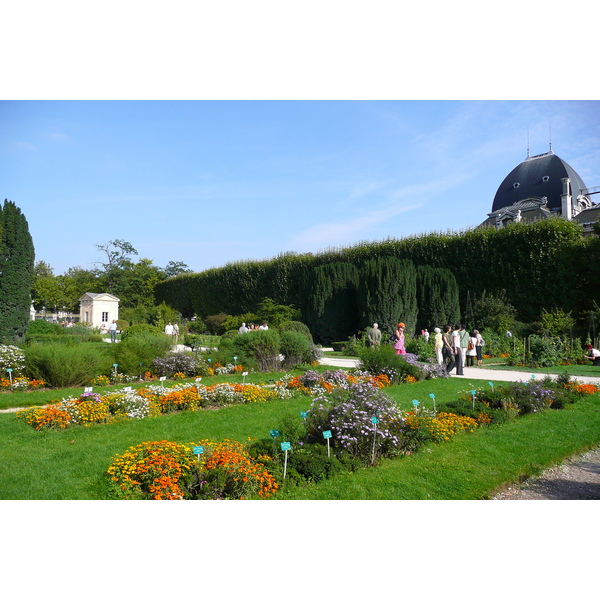 Picture France Paris Jardin des Plantes 2007-08 183 - Discovery Jardin des Plantes