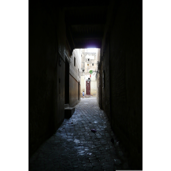 Picture Morocco Fes Fes Medina 2008-07 139 - Center Fes Medina