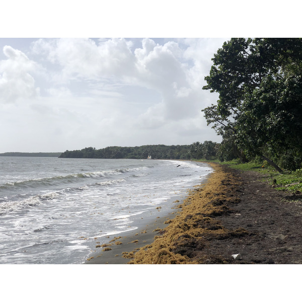 Picture Guadeloupe Viard Beach 2021-02 4 - Recreation Viard Beach