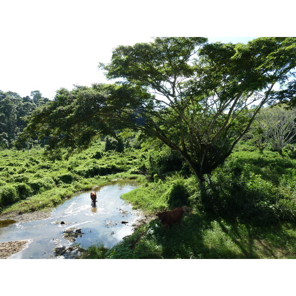 Picture Fiji Sigatoka river 2010-05 93 - Recreation Sigatoka river