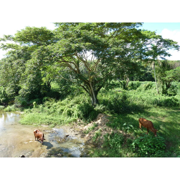 Picture Fiji Sigatoka river 2010-05 105 - Center Sigatoka river