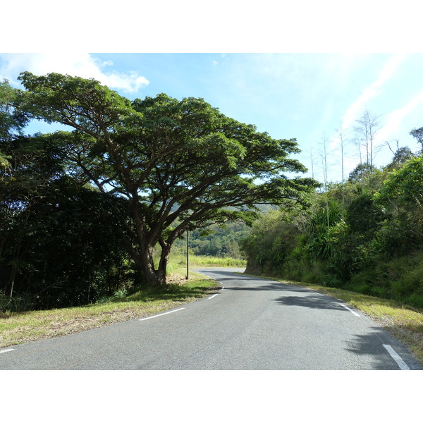 Picture New Caledonia Tontouta to Thio road 2010-05 71 - Journey Tontouta to Thio road