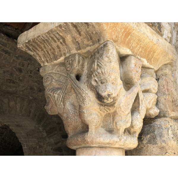 Picture France Abbaye Saint Martin du Canigou 2018-04 61 - Around Abbaye Saint Martin du Canigou