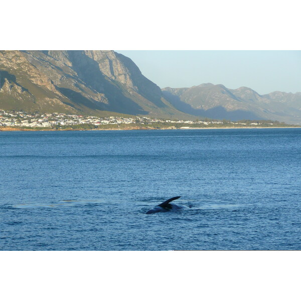 Picture South Africa Harmanus 2008-09 7 - Discovery Harmanus