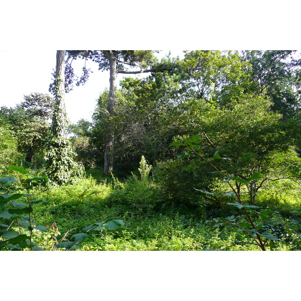 Picture France Paris Jardin des Plantes 2007-08 129 - Discovery Jardin des Plantes