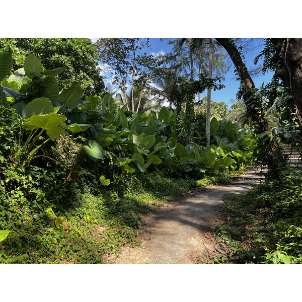 Picture Thailand Phuket Surin Beach 2021-12 100 - History Surin Beach