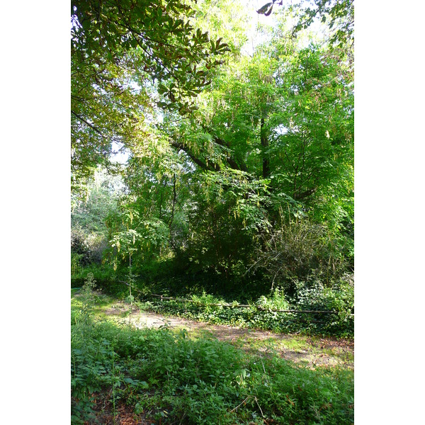 Picture France Paris Jardin des Plantes 2007-08 107 - Tours Jardin des Plantes