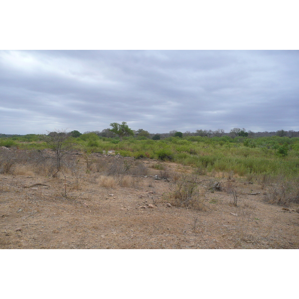 Picture South Africa Kruger National Park Sable River 2008-09 75 - History Sable River